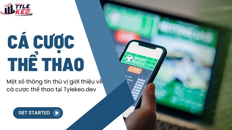 Cá Cược Thể Thao Trực Tuyến 1 Một số thông tin thú vị giới thiệu về cá cược thể thao tại fphstables.nl